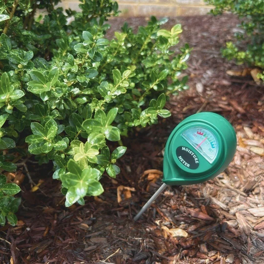 Soil moisture meter inserted into the ground next to a garden shrub