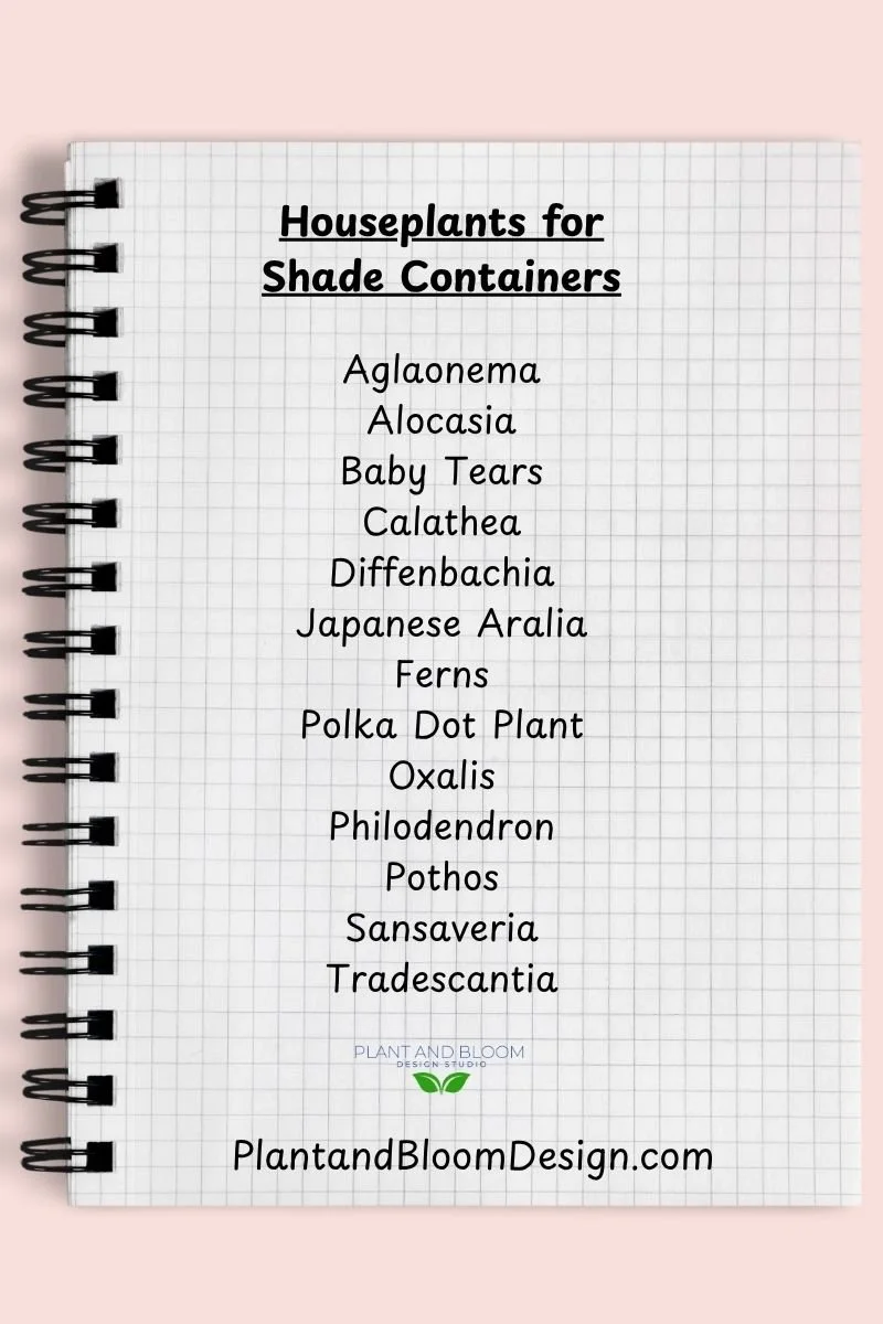 graph paper notebook showing list of houseplants for containers for shade