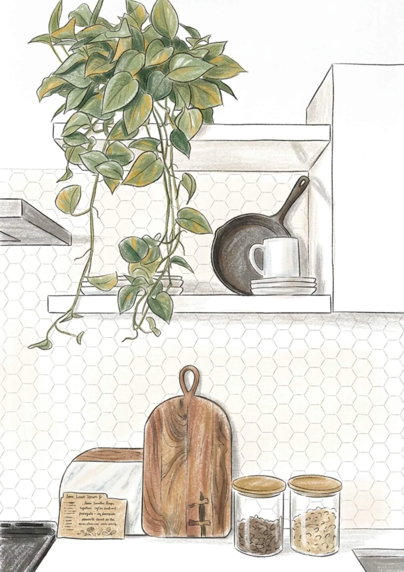 Pothos plant on a shelf above a kitchen counter