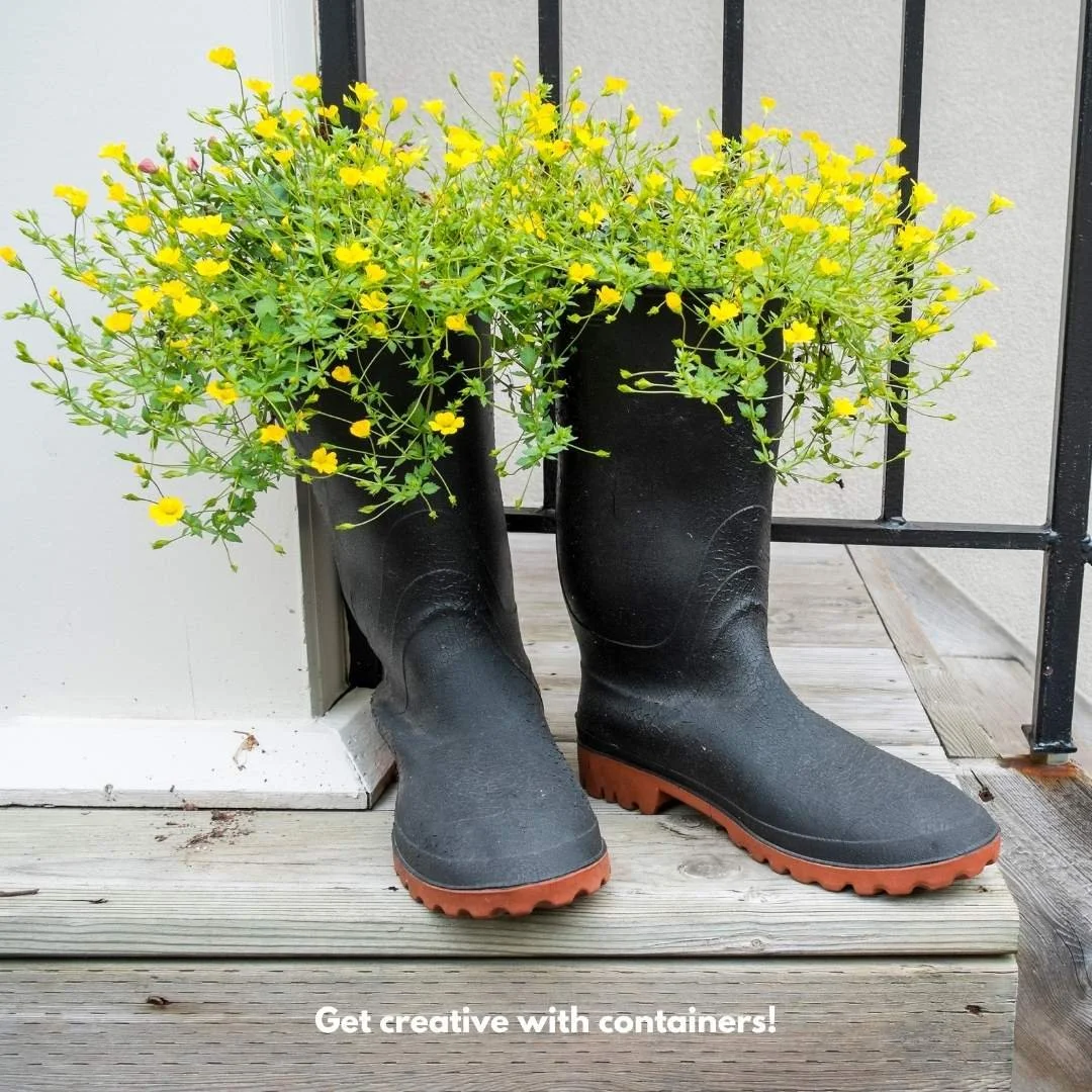boots planted with yellow flowers near stucco building black metal railing wood steps