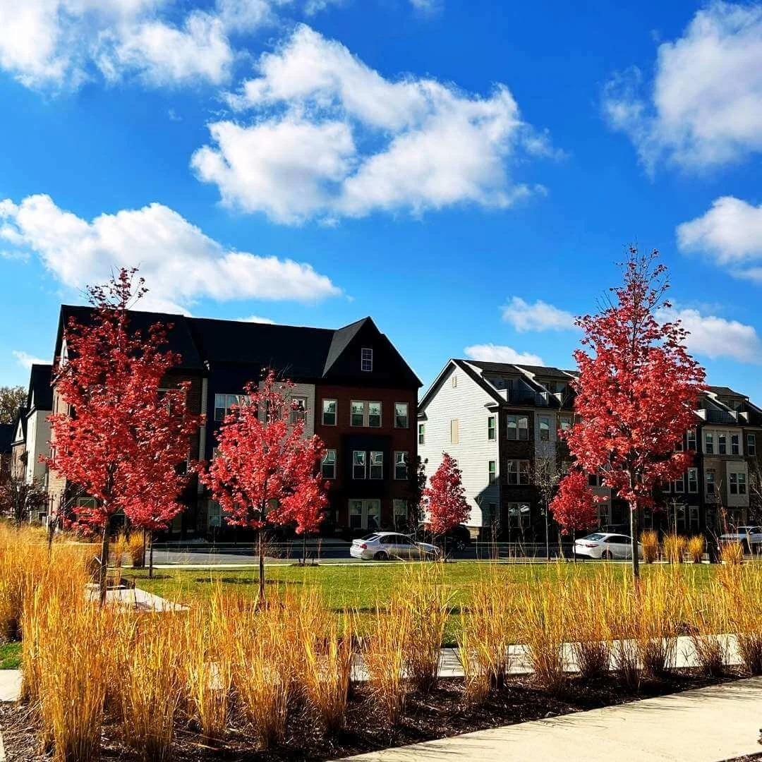 Row of townhomes with brilliant red maple trees and fall grasses under a blue sky