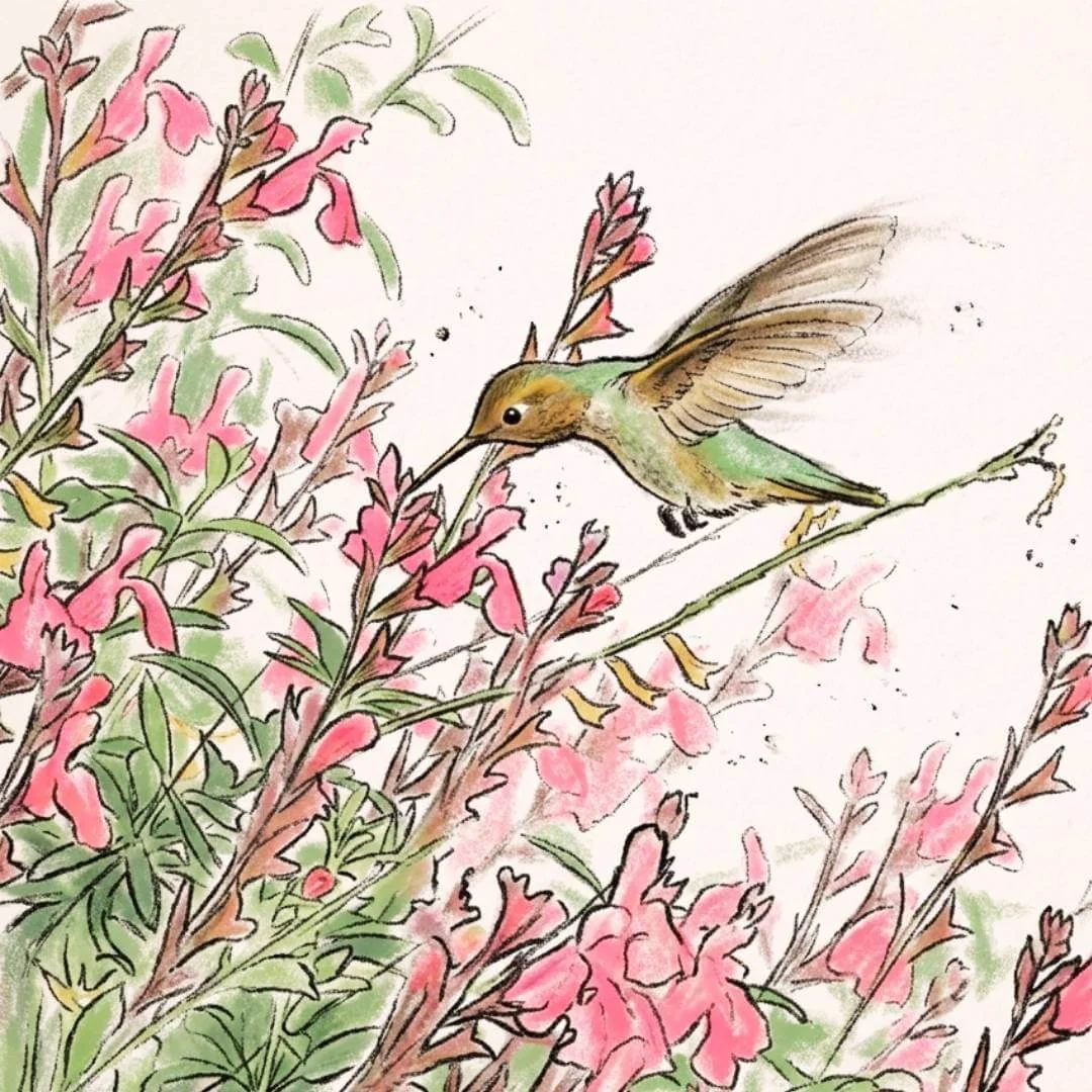 Concept illustration of hummingbird feeding from red flowers in hummingbird garden.