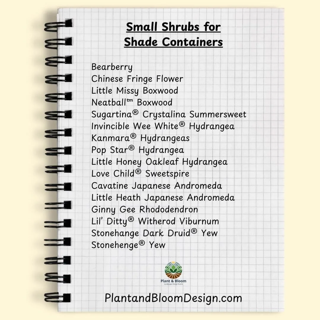 graph paper notebook with spiral binding showing text list of small shrubs to use as container plants for shade