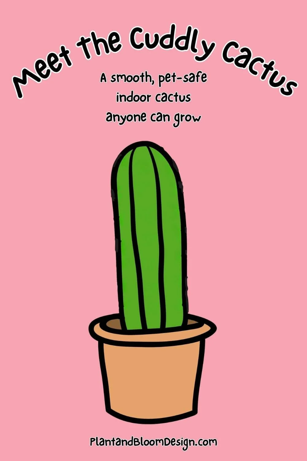 pinterest pin with text saying meet the cuddly cactus, a smooth, pet-safe indoor cactus anyone can grow, plantandbloomdesign.com, with graphic image of cuddly cactus in terra cotta pot