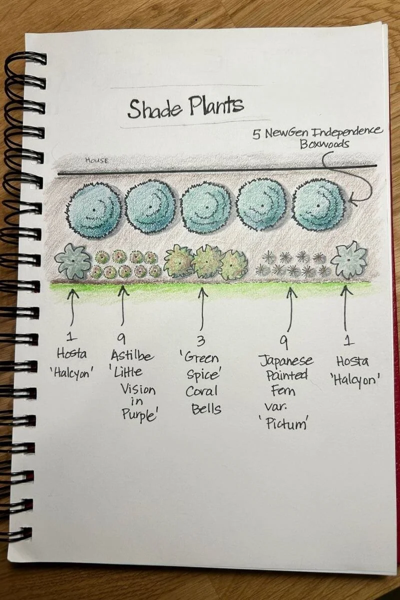 notebook open to page showing landscape design drawing layout of shade plants in shade garden on wood surface