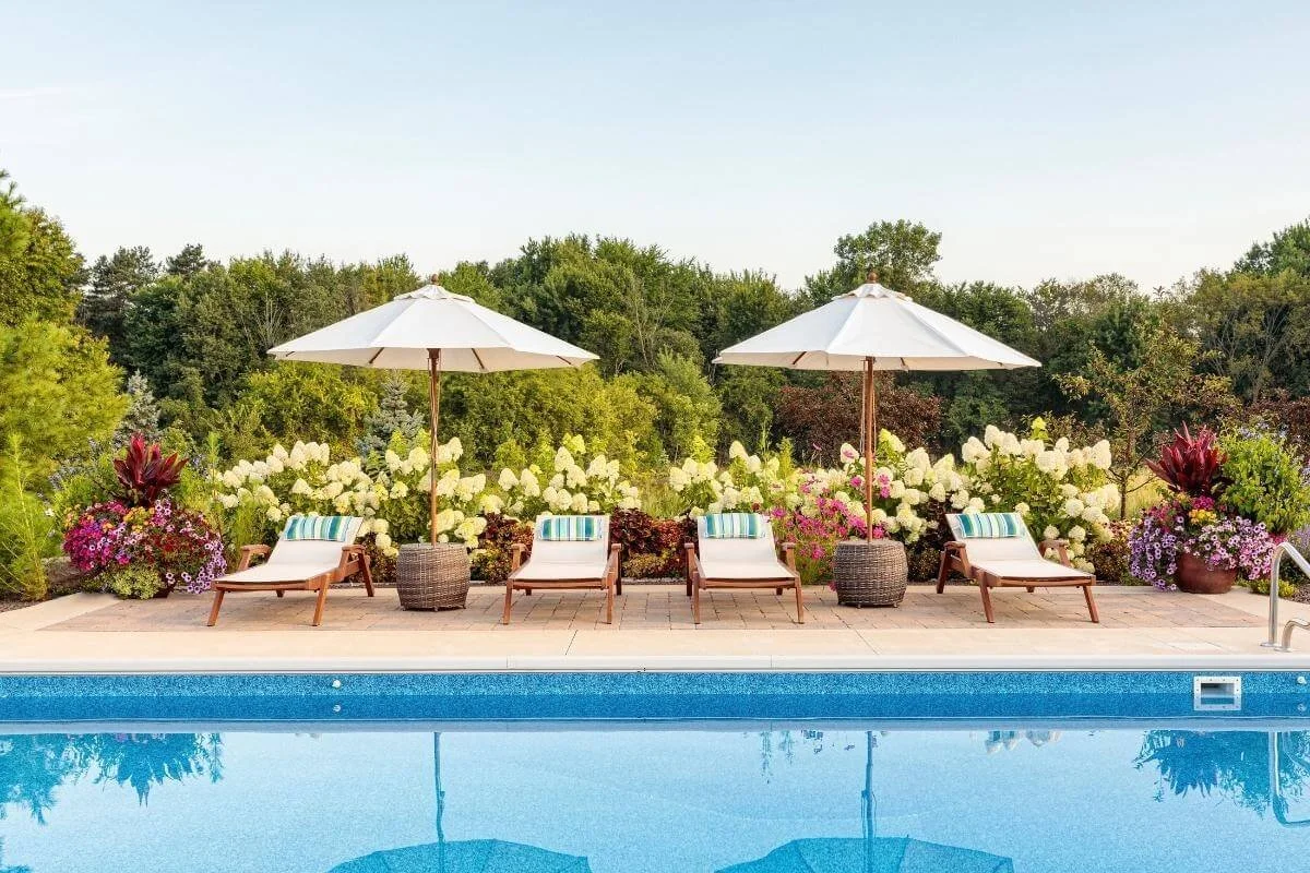 Limelight hydrangeas growing in a garden border behind a pool and patio with lounge chairs