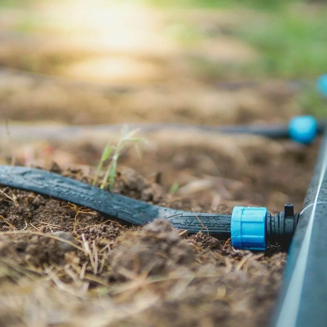 Drip irrigation tubing and connectors laid on top of soil in a garden bed