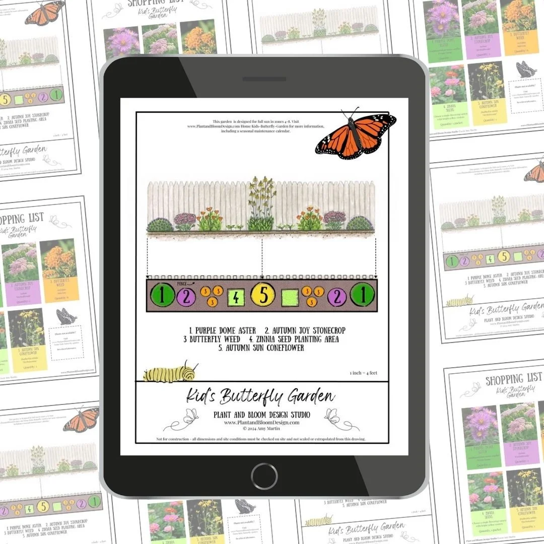 Kids' Butterfly Garden Design