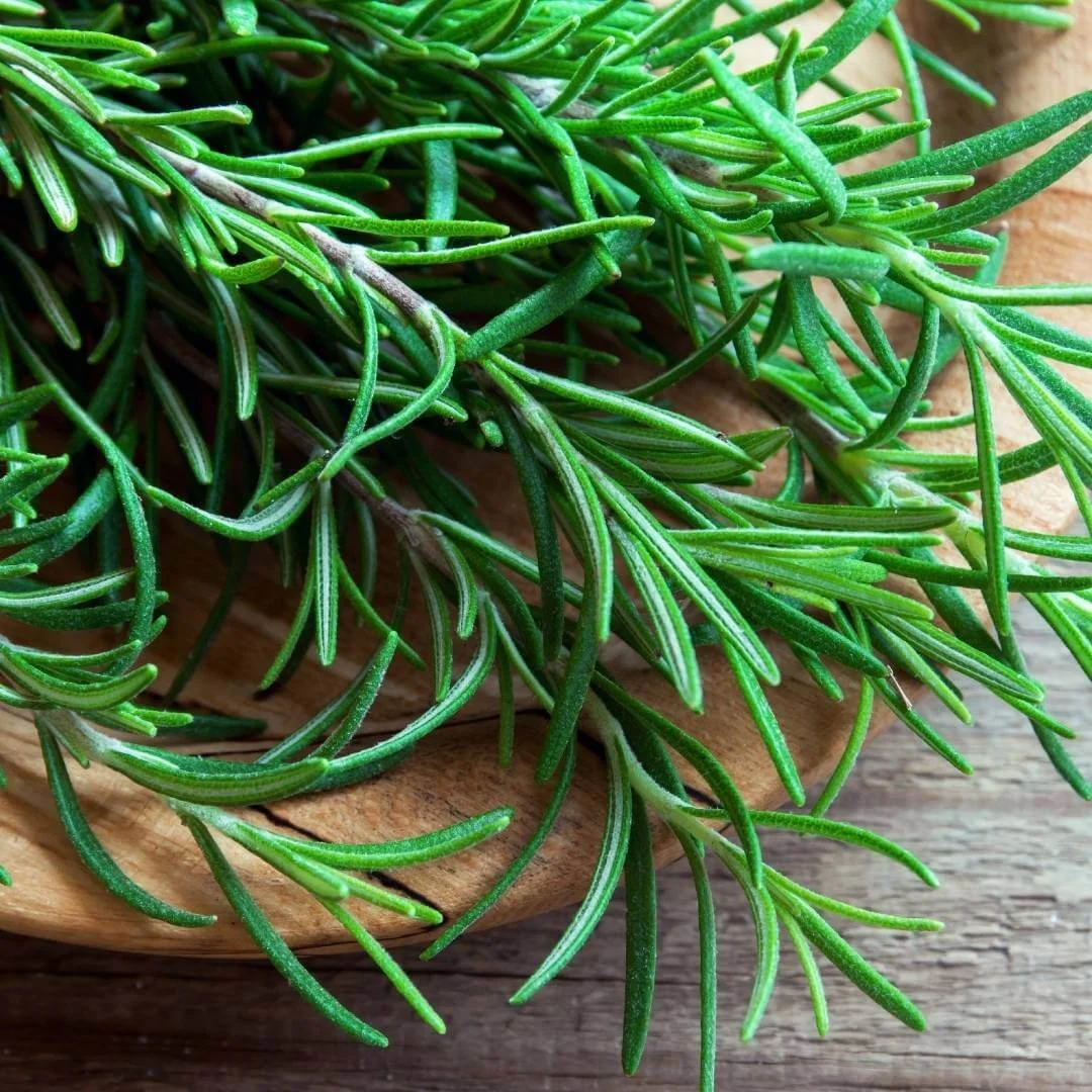 Close-up of fresh rosemary sprigs in a wooden bowl.