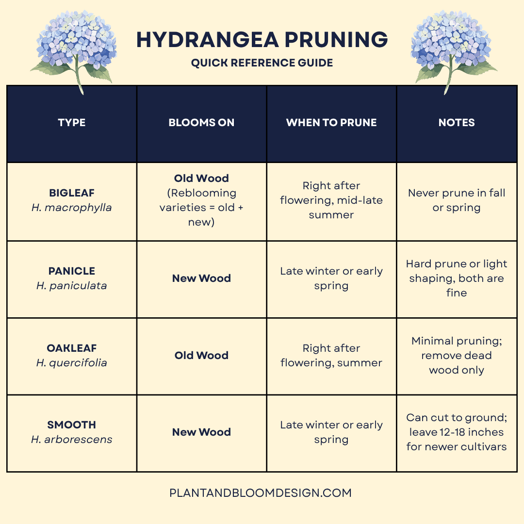 Hydrangea pruning quick reference chart showing when to prune bigleaf, panicle, oakleaf, and smooth hydrangeas based on old wood vs new wood blooming