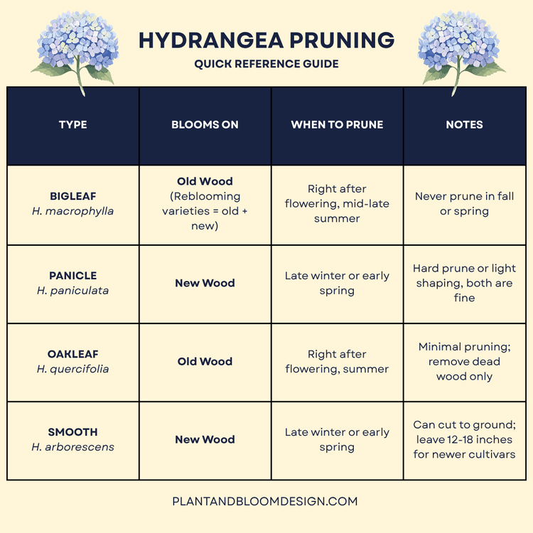 Hydrangea Care Guide Planting, Pruning & Color — Plant and Bloom