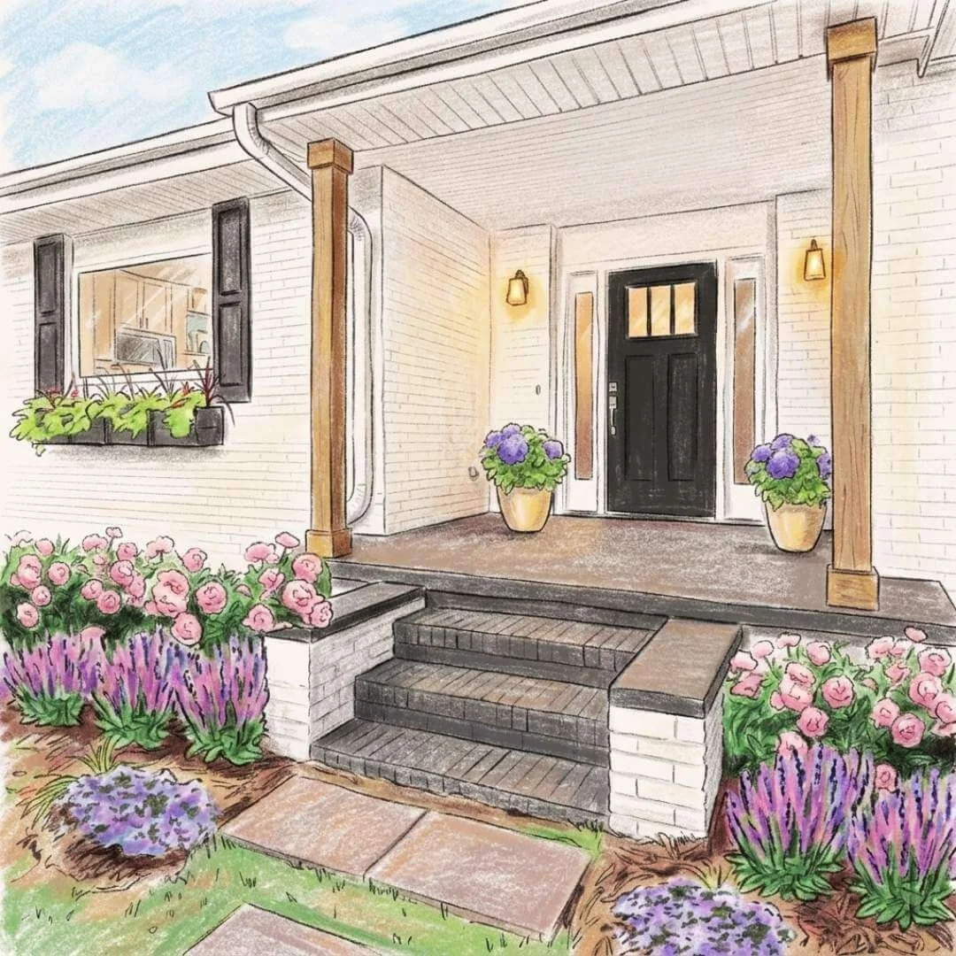 Illustrated front porch entry surrounded by peonies, salvia, and phlox front yard flowers