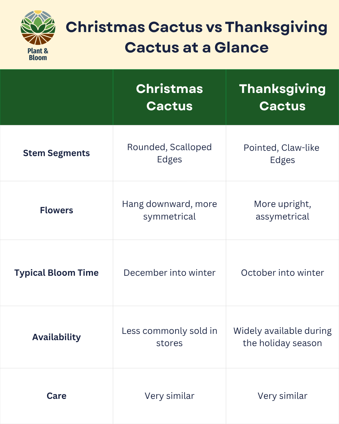 Chart comparing Christmas cactus and Thanksgiving cactus stem shape, flowers, bloom time, availability, and care.