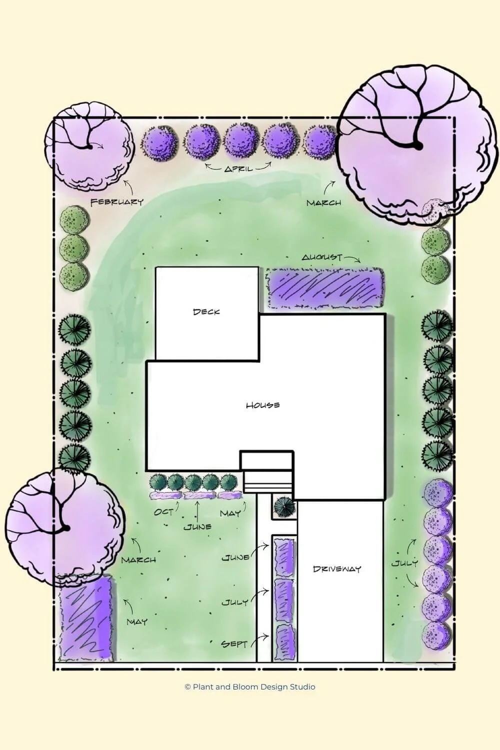 Landscape design plan layout showing how to use succession planting and the best pollinator plants for bees to achieve year round pollinator appeal.