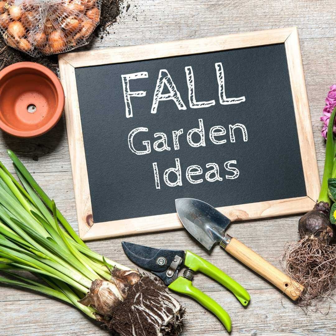 chalkboard saying fall garden ideas on wooden surface next to bulbs, soil, terra cotta pot, garden tools