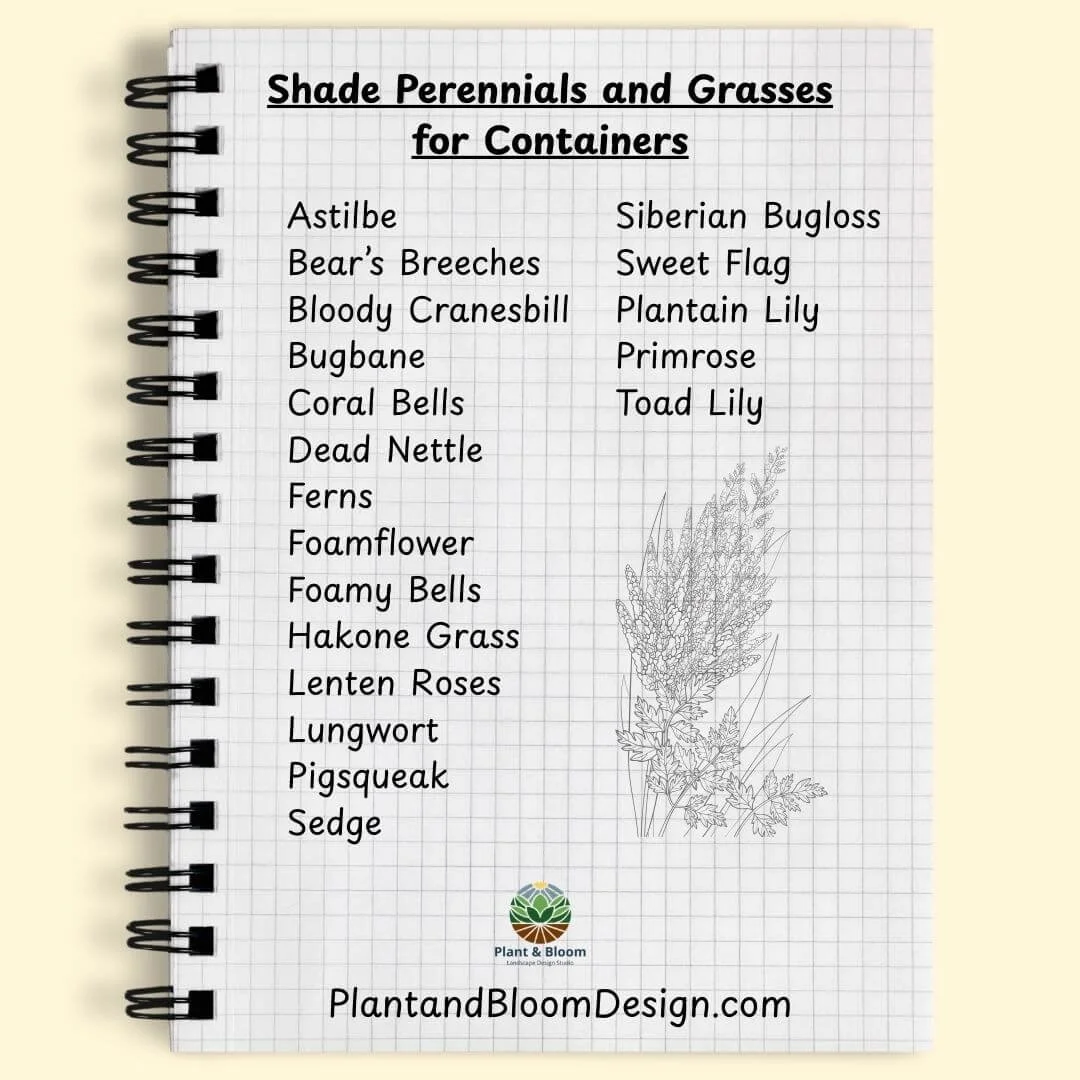 graph paper notebook with text listing perennials and grasses to use as container plants for shade and graphic image of astilbe and carex plants