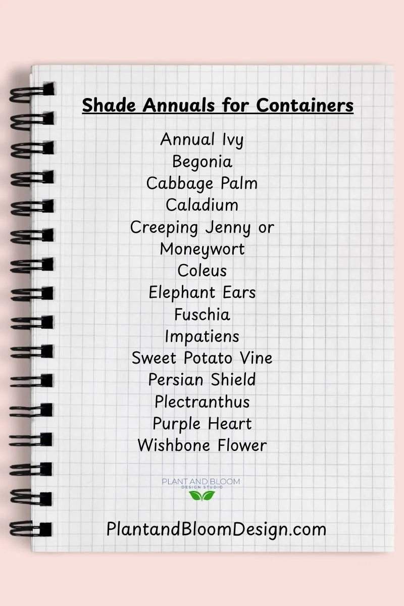 graph paper notebook with text overlay of list of shade annuals for containers for shade