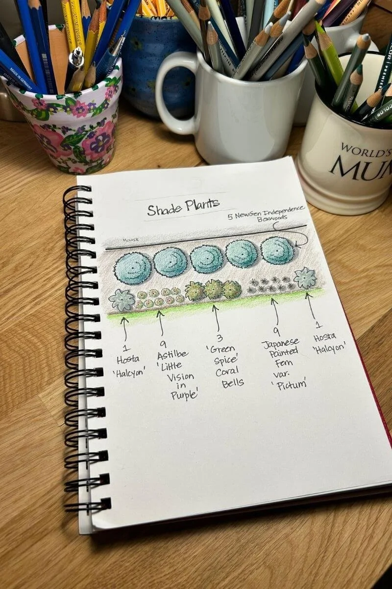 notebook page with landscape design drawing diagram showing shade plants layout on wood surface near cups of pencils pens