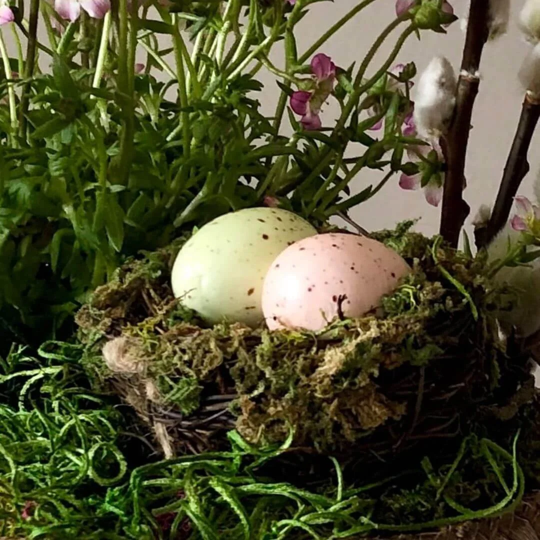 easter eggs in bird nest closeup part of spring tabletop decor