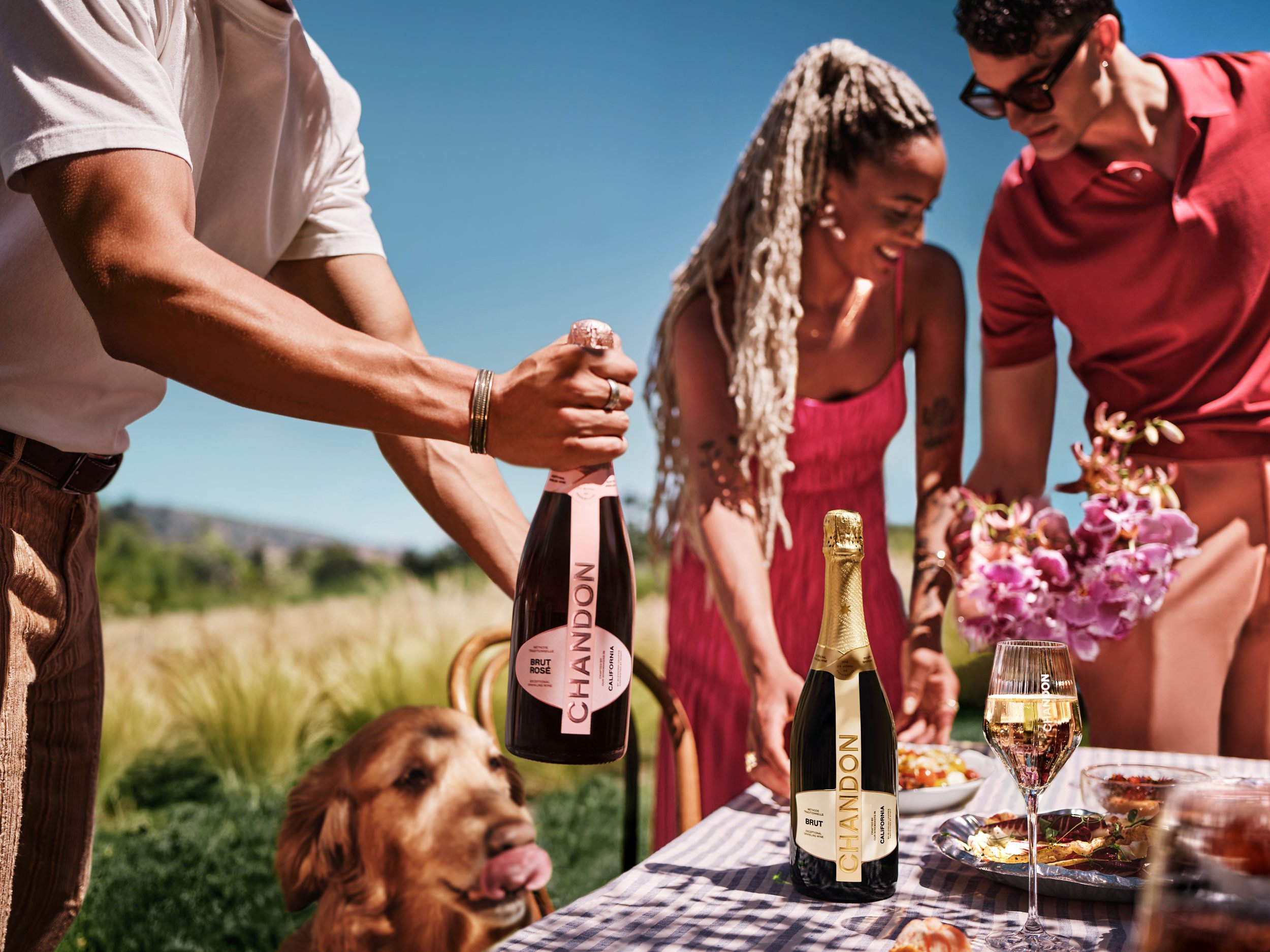13_Chandon_0240_R3 copy.jpg