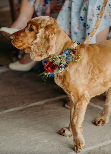 Screen Shot 2023-05-19 at 18.52.06.png