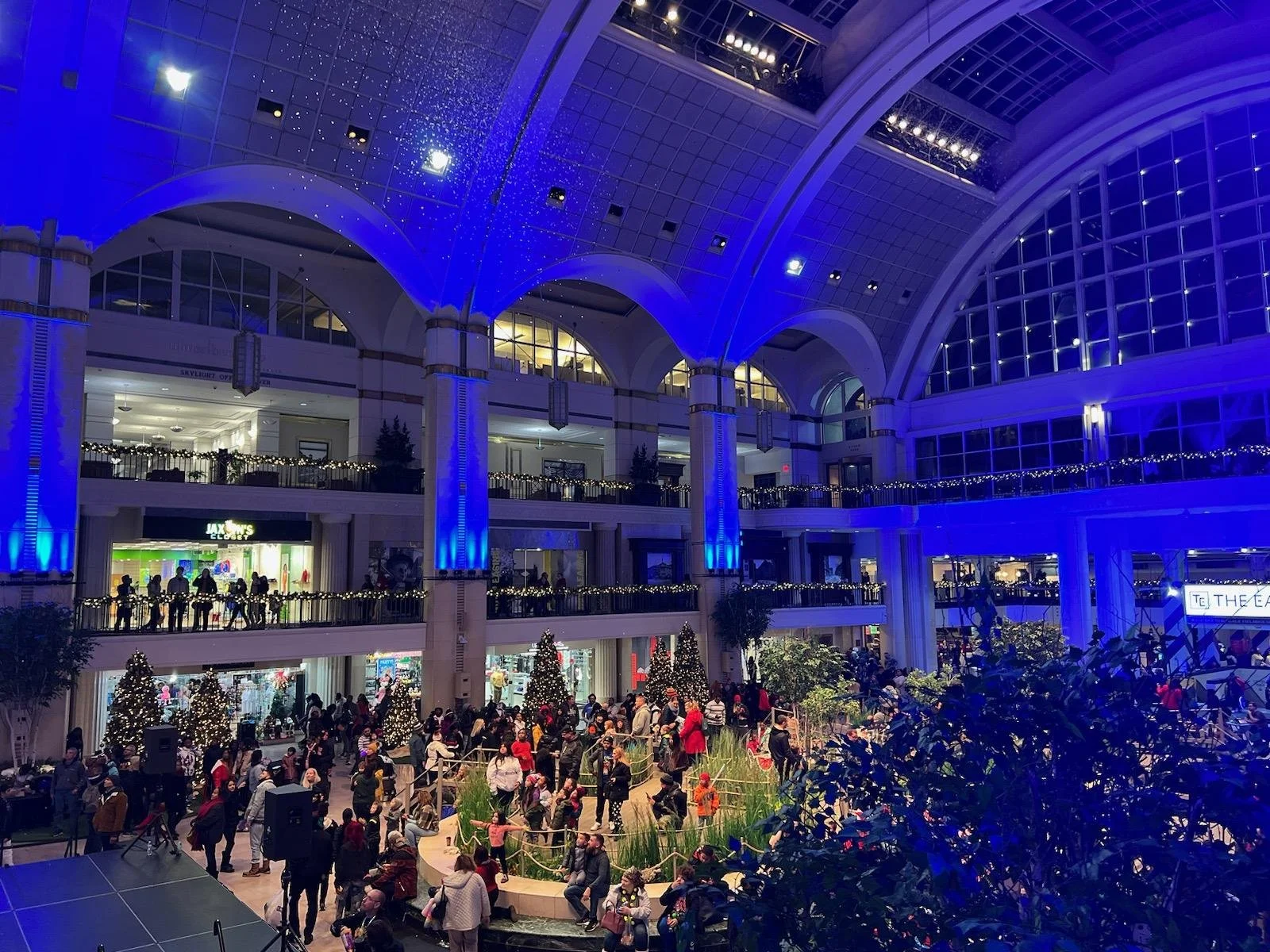 Snow in the Park.jpeg