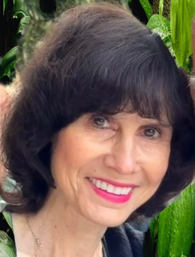 Intergenerational Transmission of Trauma: Unconscious Legacies - Nov 13, 2026