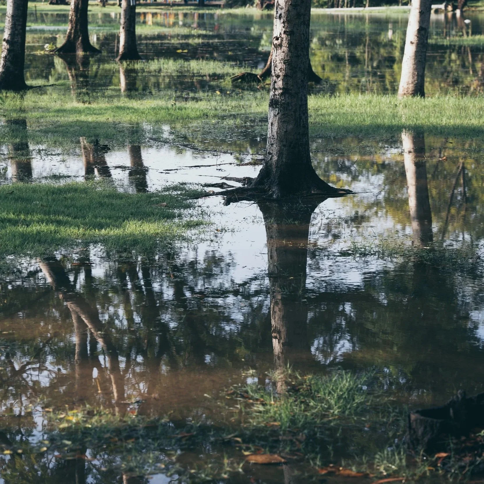 A flooded backyard in Kansas City due to poor water drainage