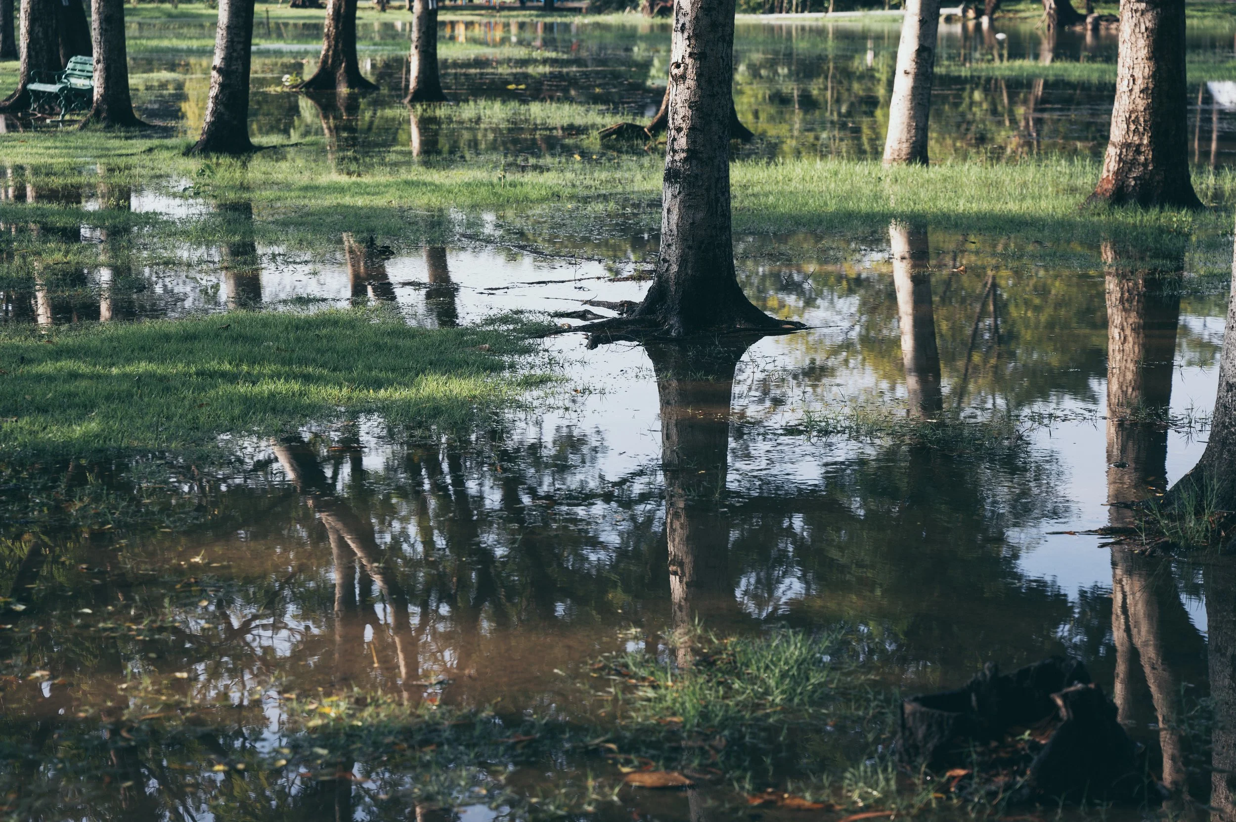 The Backyard Nobody Uses (And How to Fix It)