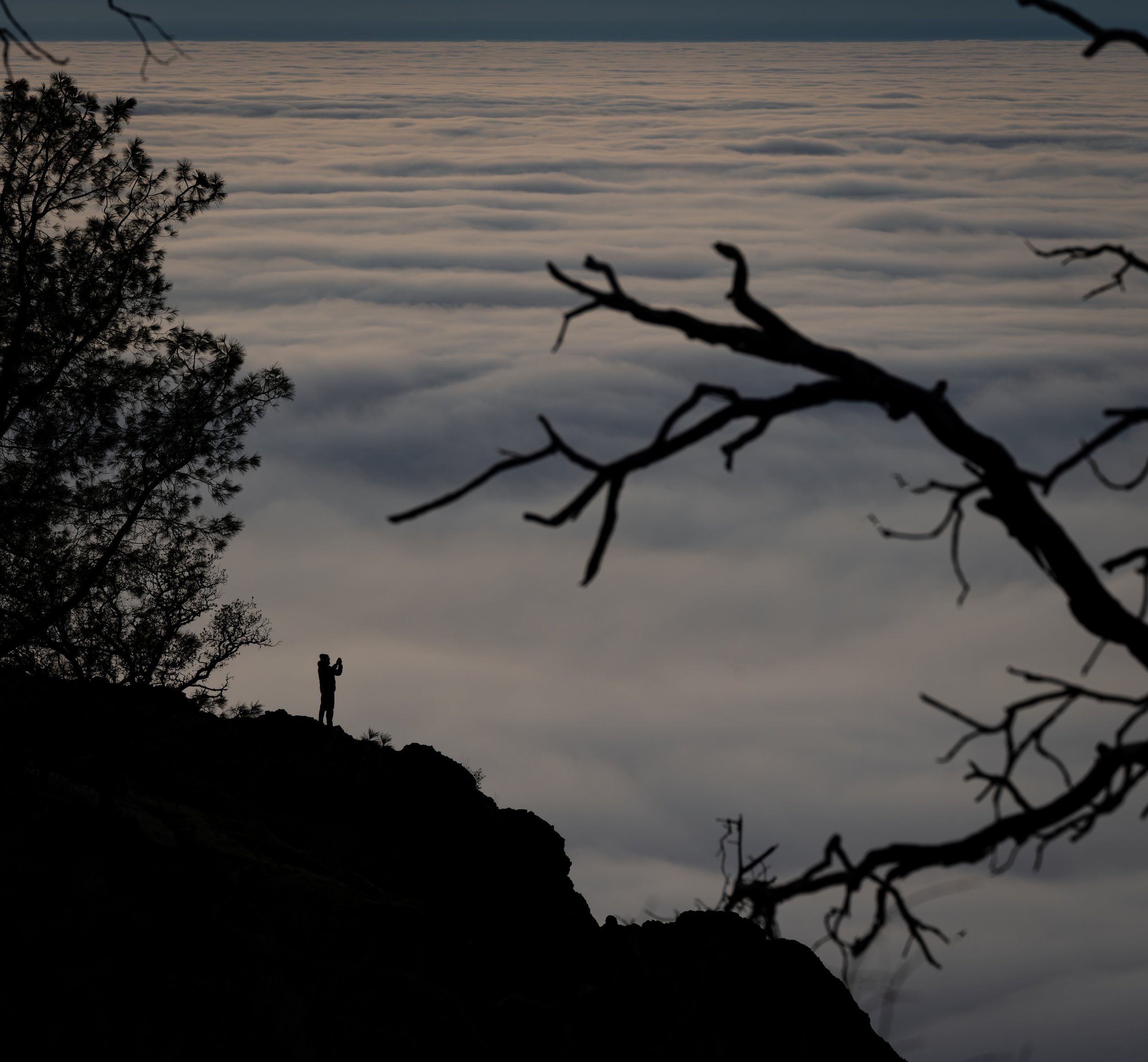 DSC06798-Edit.jpg