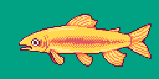 golden rainbow trout.png