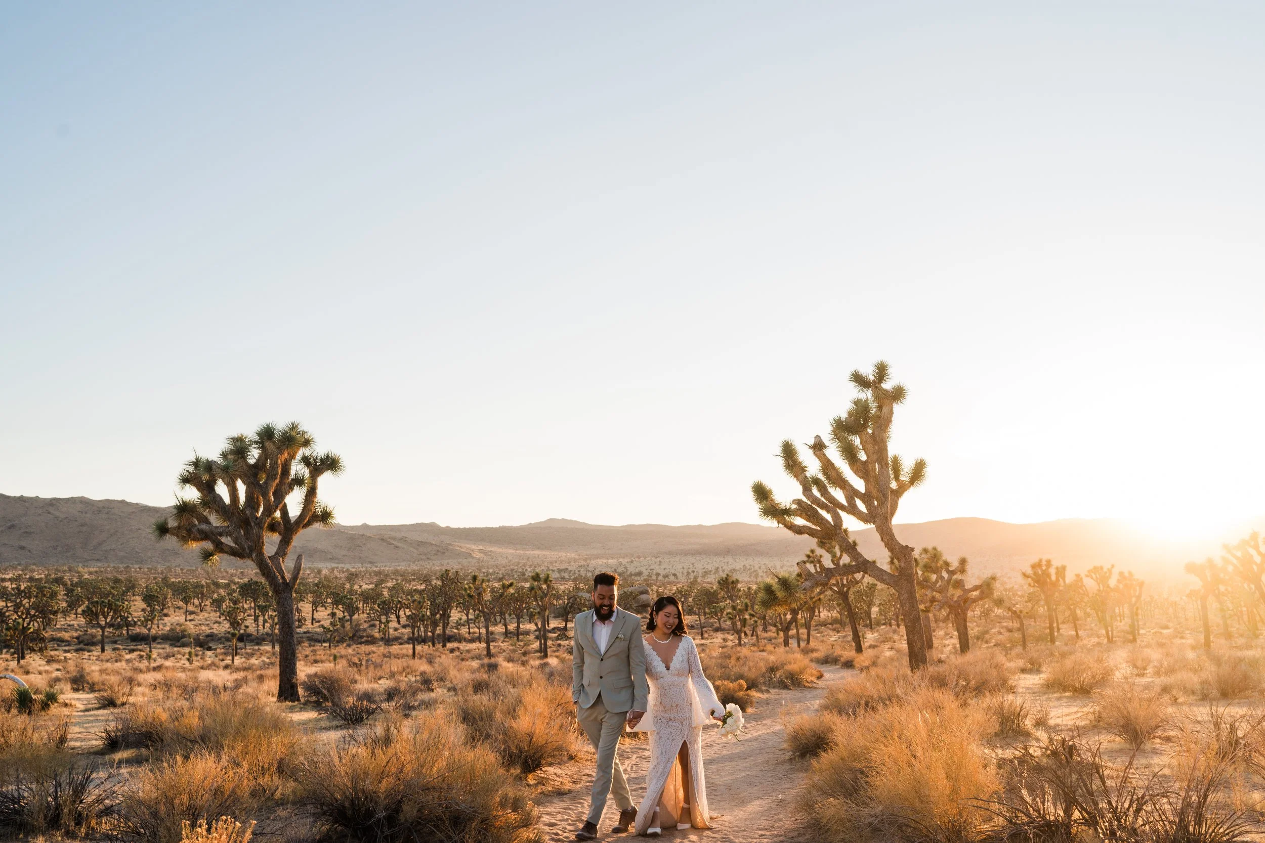 A couple in wedding attire walking hand-in-hand in a desert landscape with Joshua trees, during sunset.
