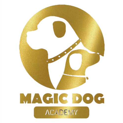 Magic Dog Academy