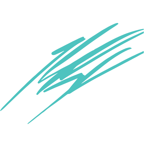 [Image] Teal scribble above words "Life Transitions."