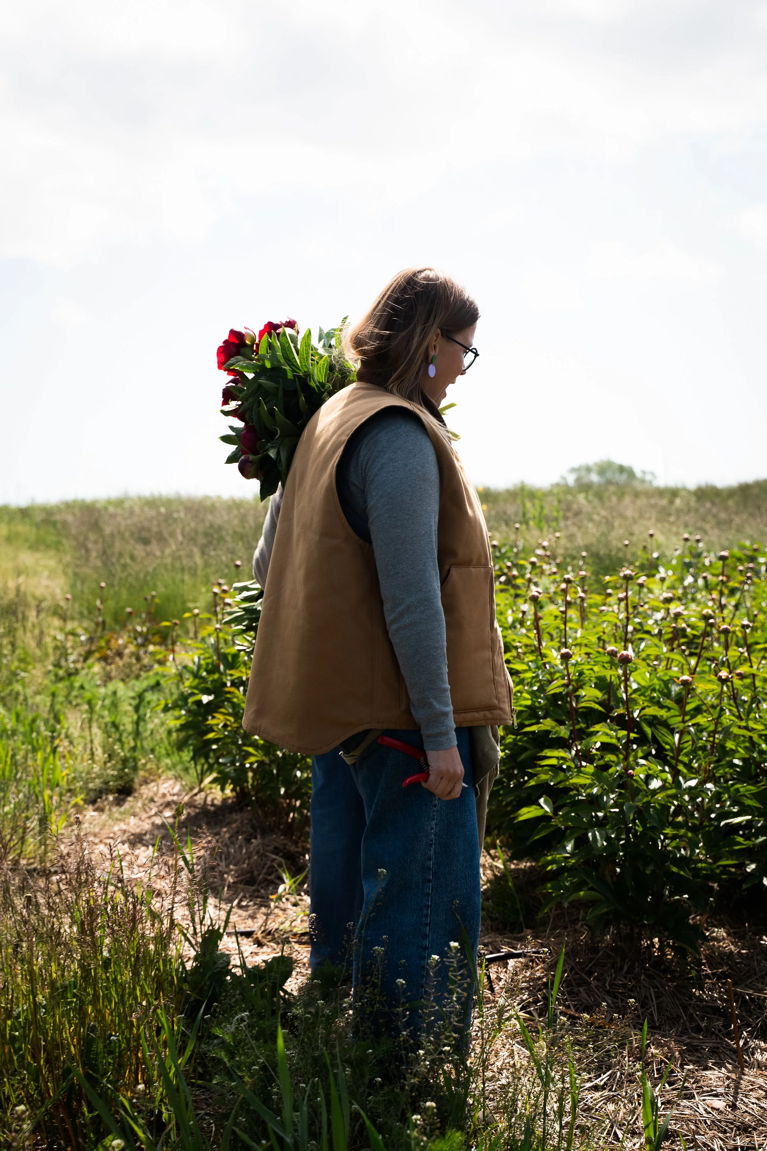 DSC01168 kopiera.jpg