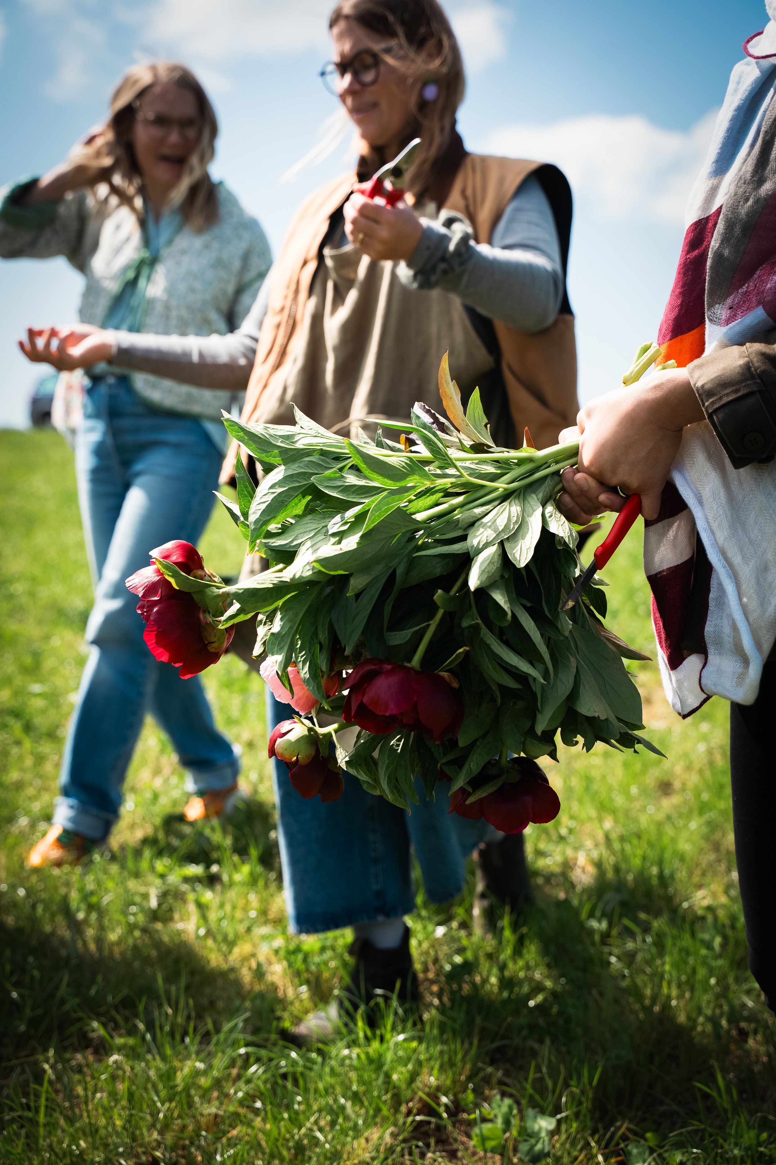 DSC01226 kopiera.jpg