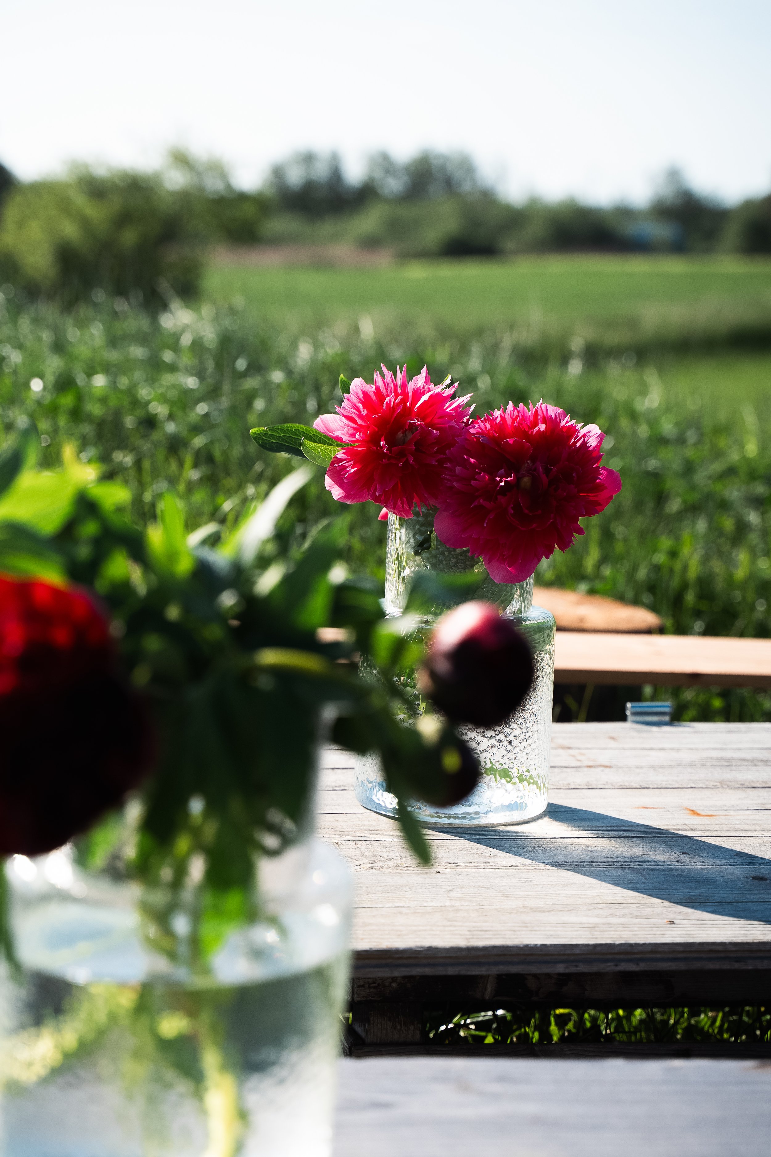 DSC00901 kopiera.jpg