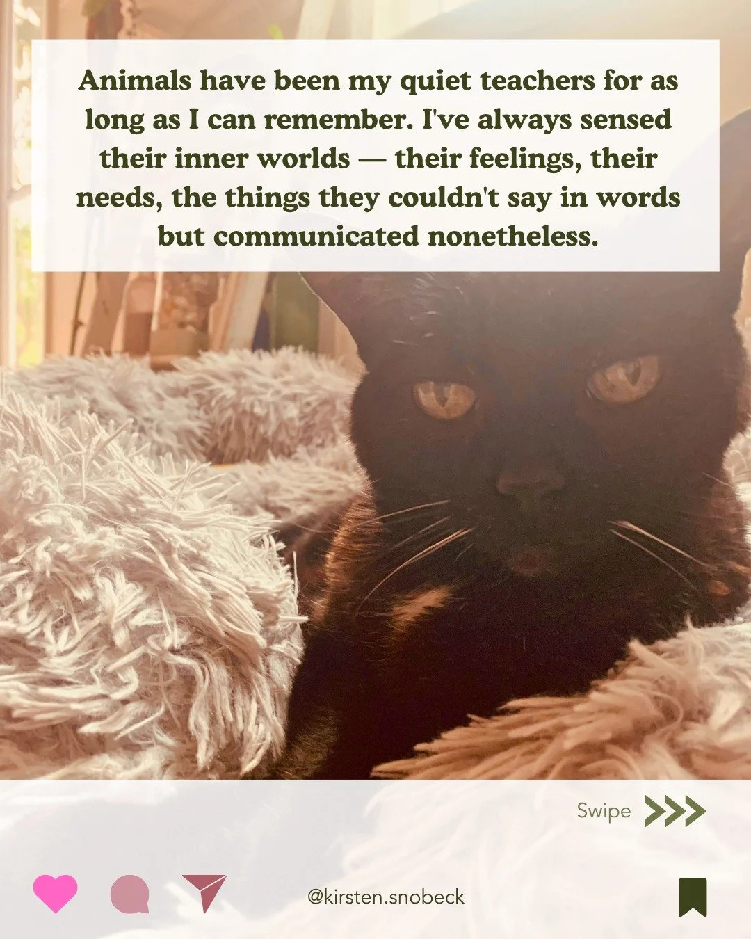 ✨ Introducing &hellip; Animal Communication Sessions 🐱🐶

Your animal has a perspective &mdash; about their life, their body, their relationship with you. In these 1-hour virtual sessions, I serve as interpreter, tuning in telepathically to receive 