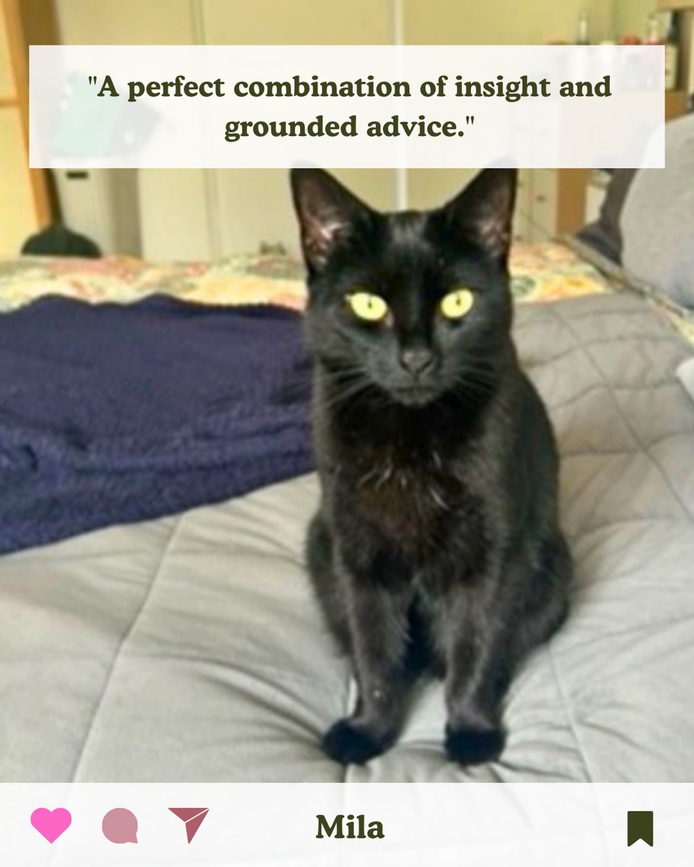 &ldquo;Kirsten did a reading for me for my kitty Mila. I have so many good things to say about this! It was a perfect combination of insight (all confirming that she was definitely tuned into my crazy cat), and grounded advice. My favourite thing abo