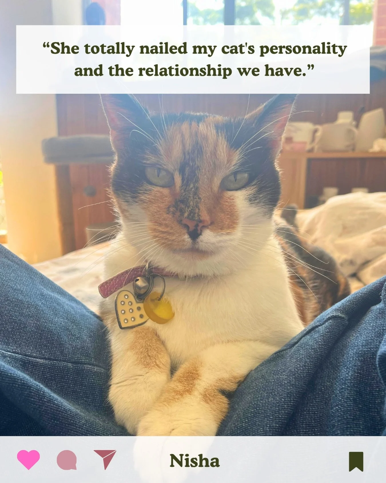&ldquo;My animal communication session with Kirsten was heartfelt and insightful. She totally nailed my cat&rsquo;s personality and the relationship we have! I was touched by the depth of love Kirsten picked up between me and my cat. It wasn&rsquo;t 