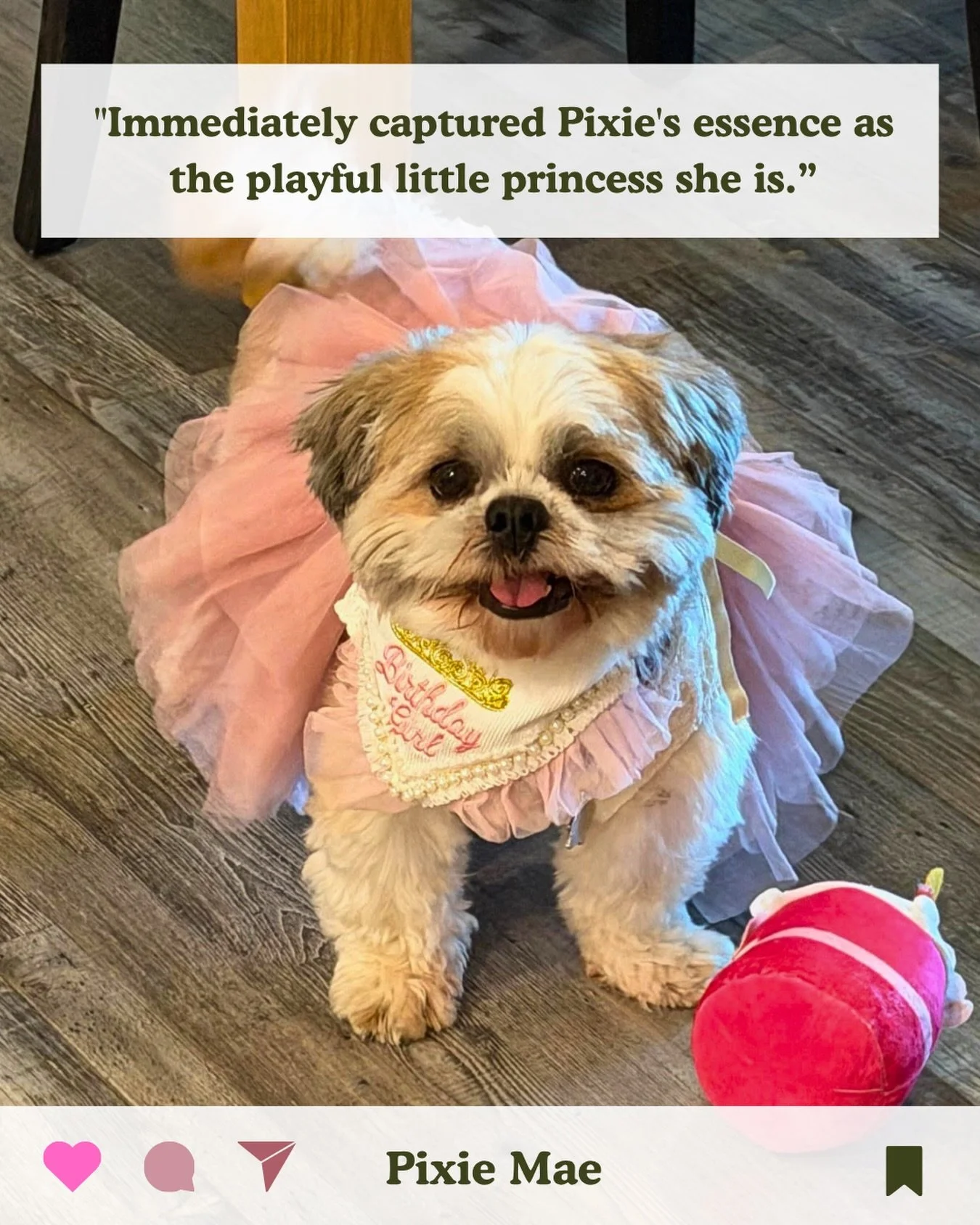 &ldquo;I recently had the pleasure of receiving an Animal Communication session with Kirsten on behalf of my sweet Pixie Mae, and I was genuinely touched by the accuracy, depth, and heart she brought to the connection.

Kirsten immediately captured P