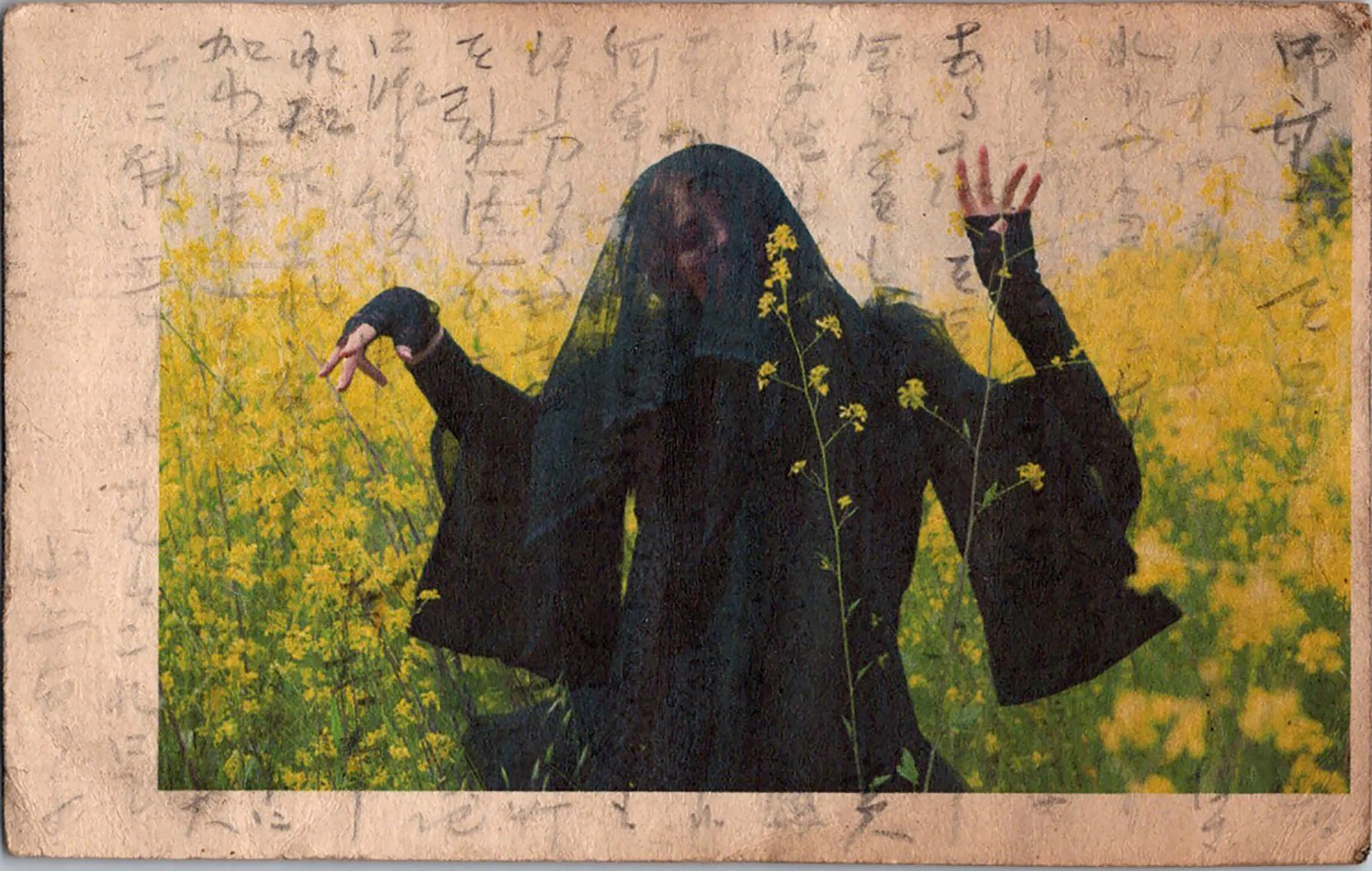 Image of a woman draped in black in a field of yellow flowers