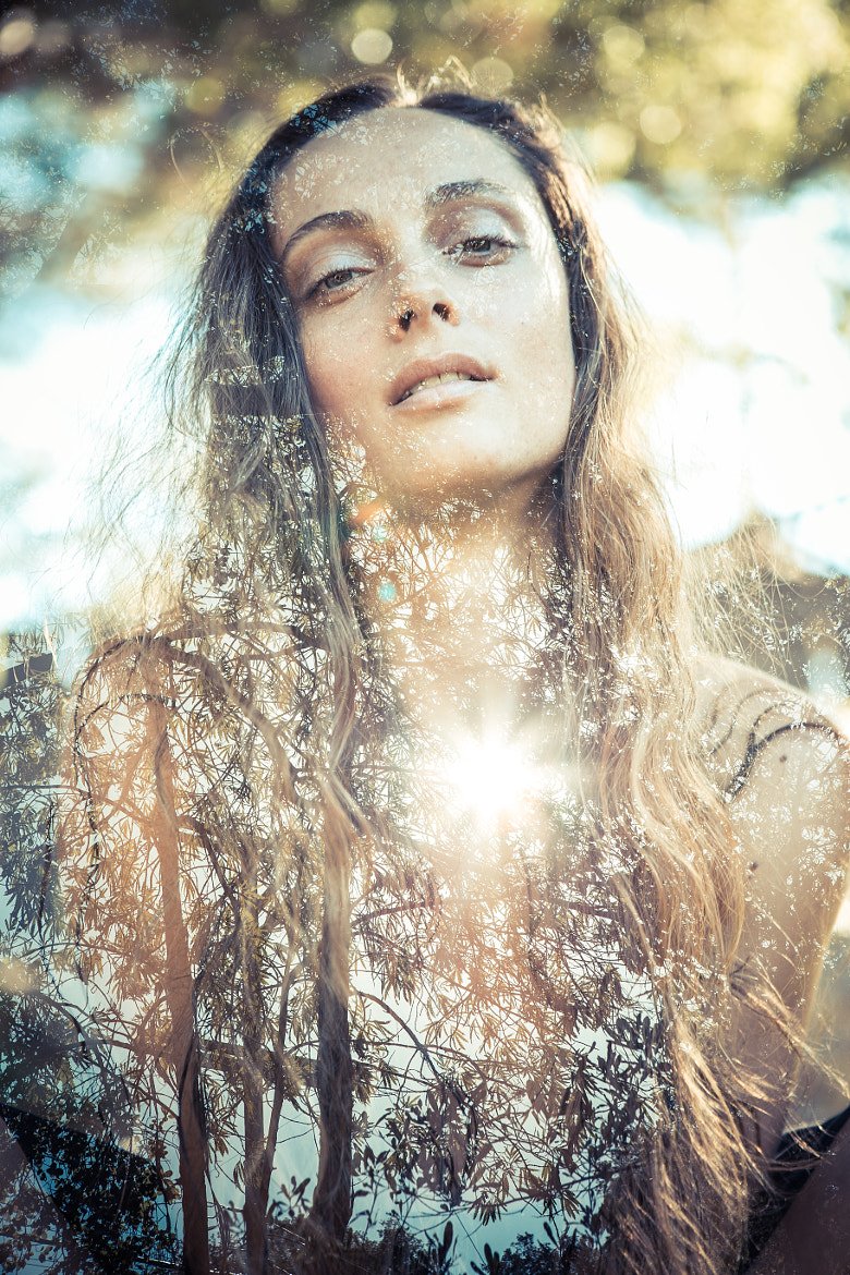 stock-photo-88152137.jpg