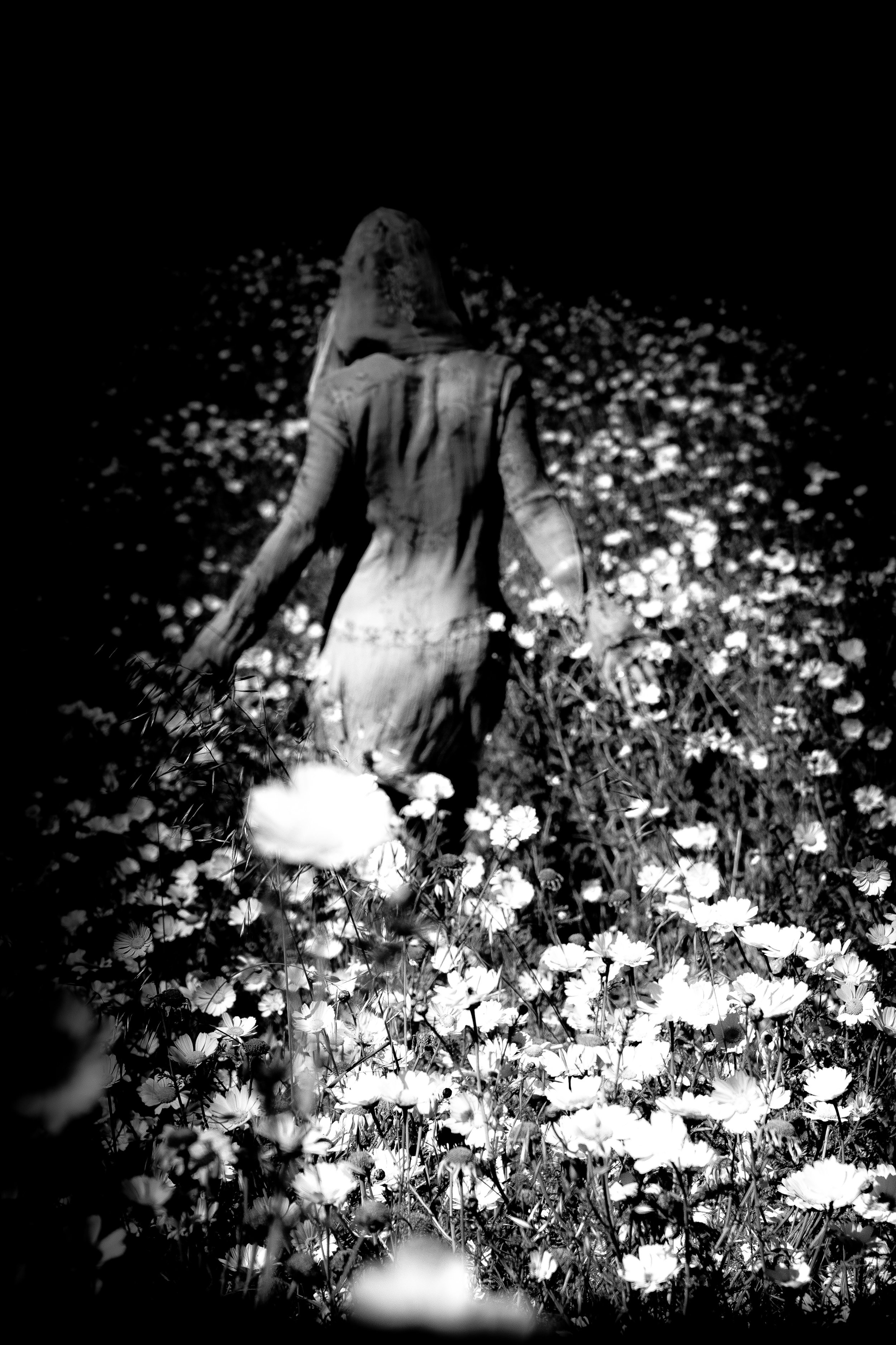 untitled (378 of 1251).jpg