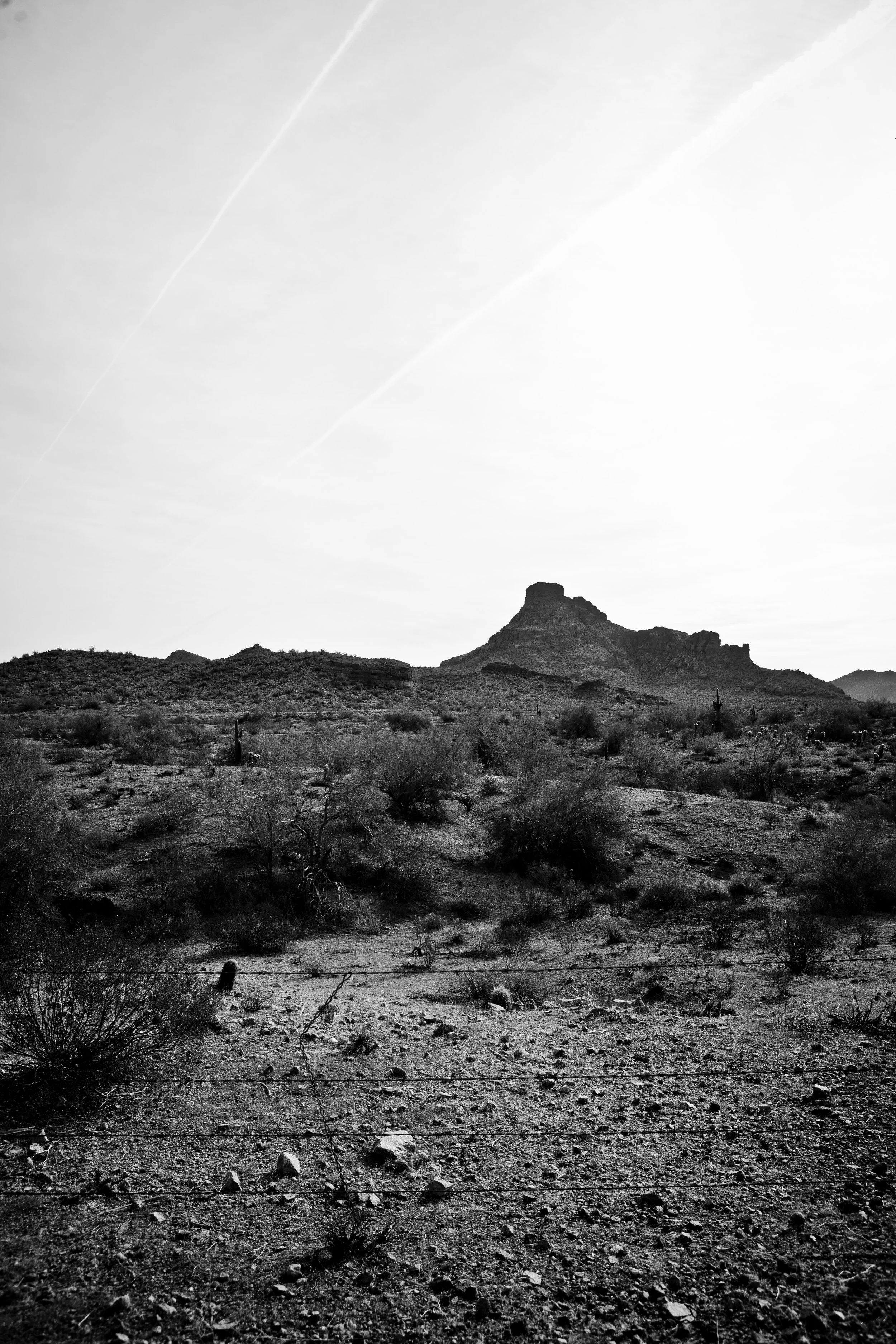 untitled-9353-2.jpg