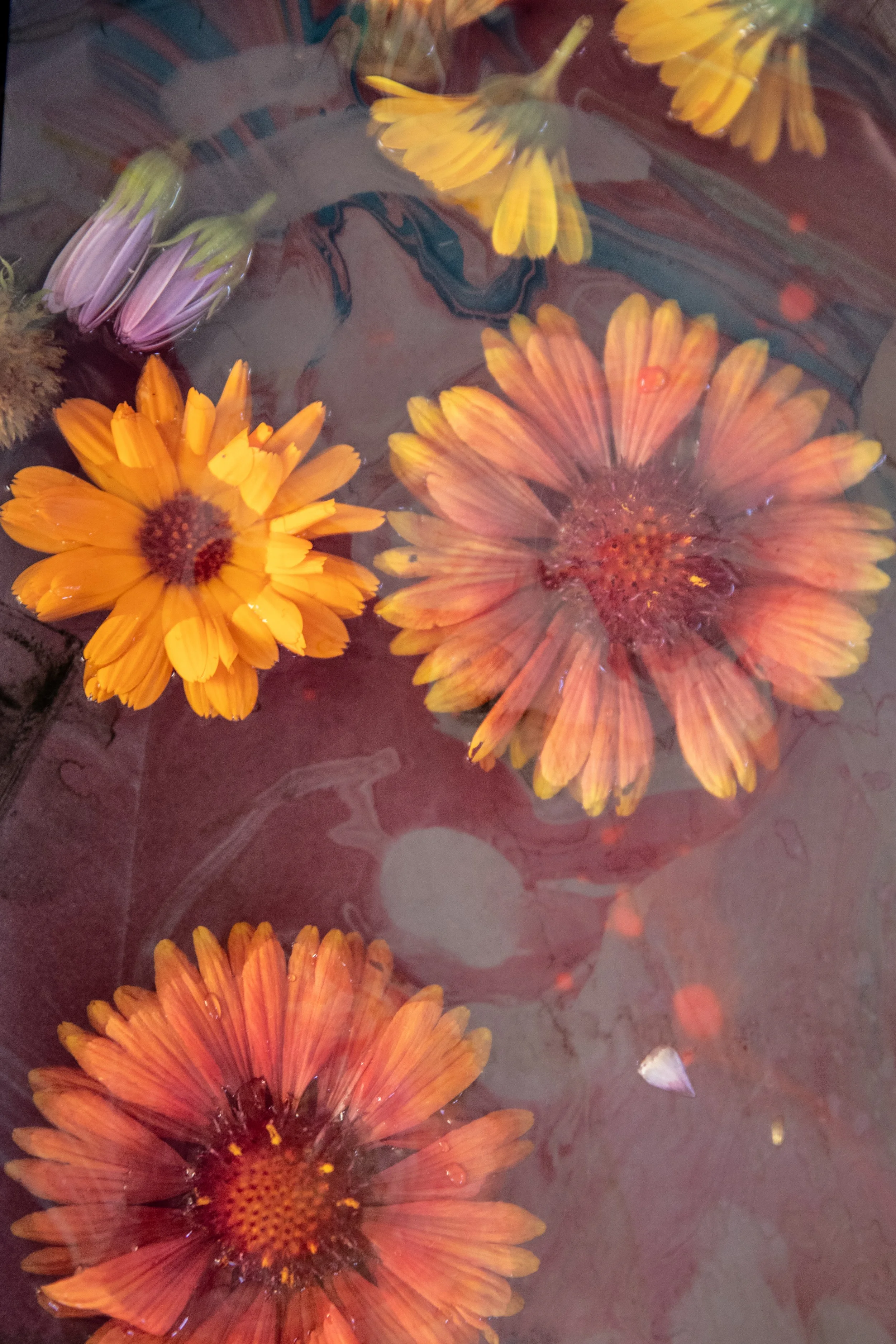 untitled-6783-2.jpg