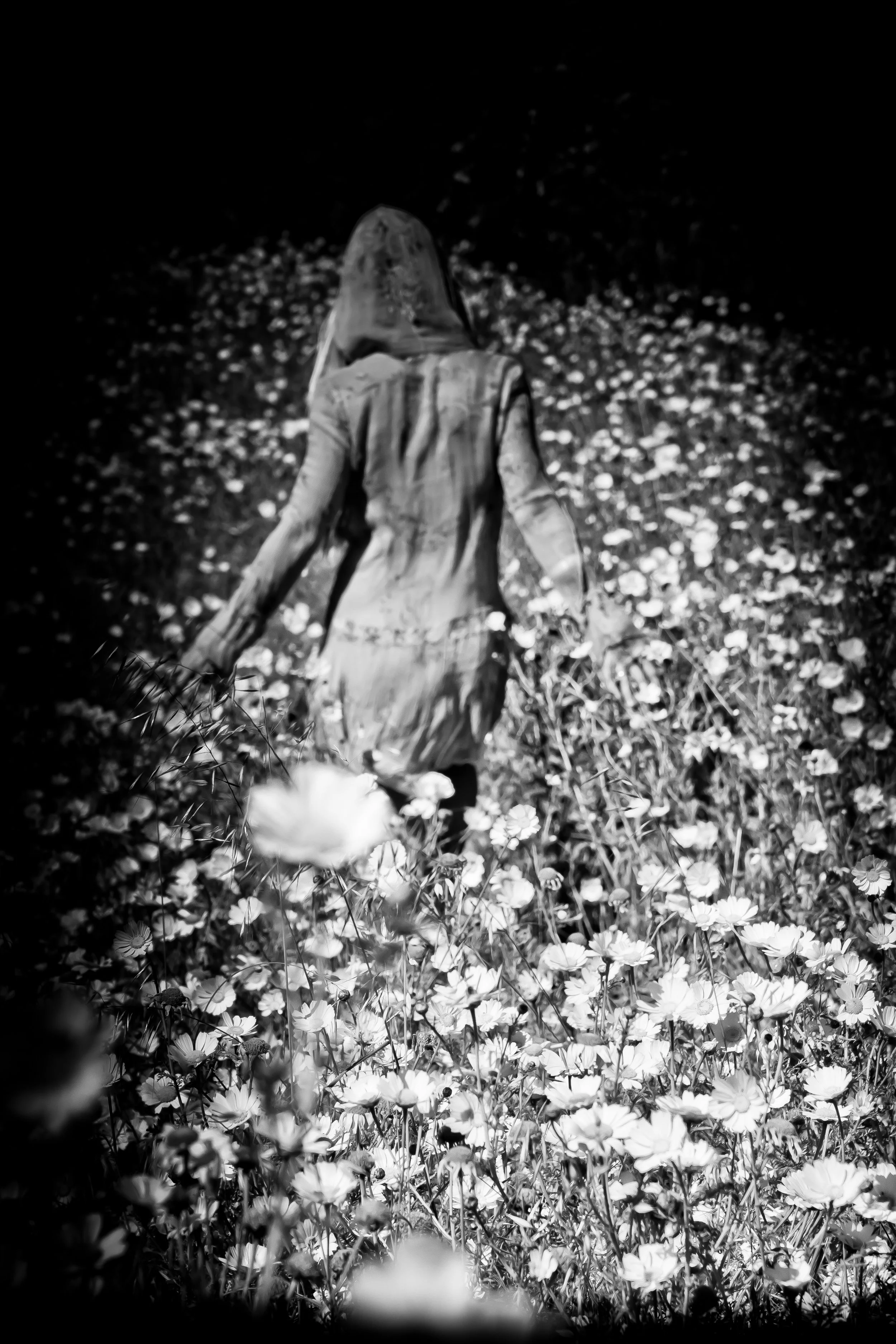 untitled (378 of 1251).jpg