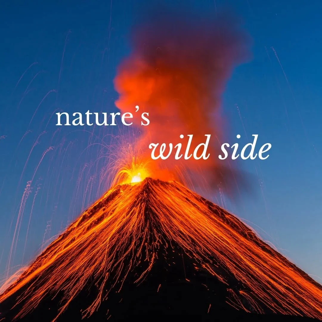 "Life-generating processes are messy."

Nature's cycles are often portrayed&nbsp;as calm and tidy... but that's not the full story. This piece from  @heysisterseasons explores lessons from nature's wild side for more regenerative ways of be
