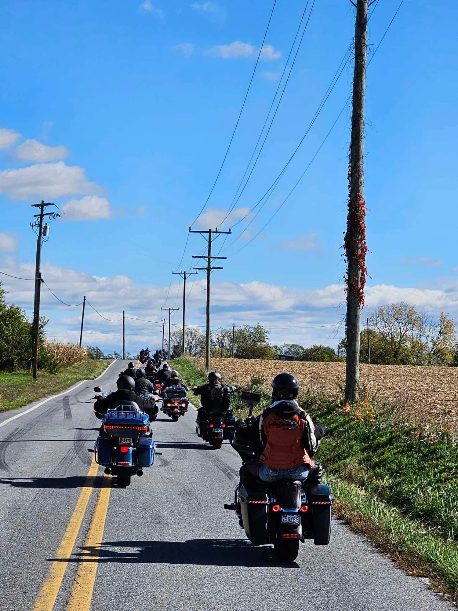 drf covered bridge run 62.jpeg
