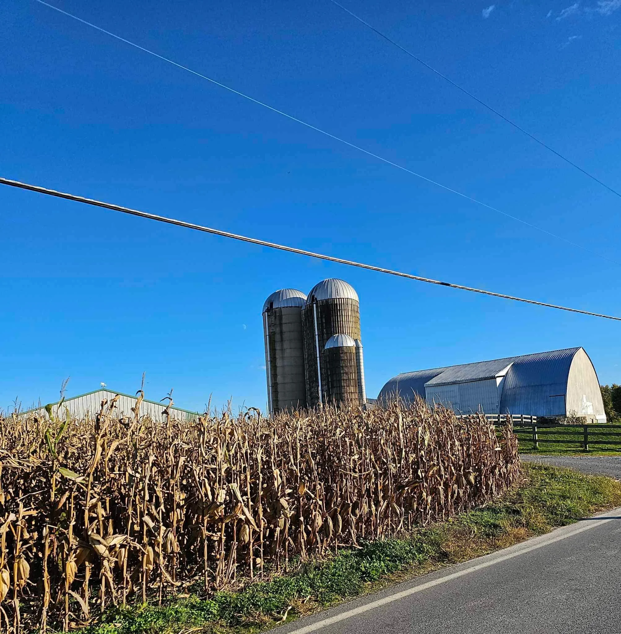 drf covered bridge run 191.jpeg